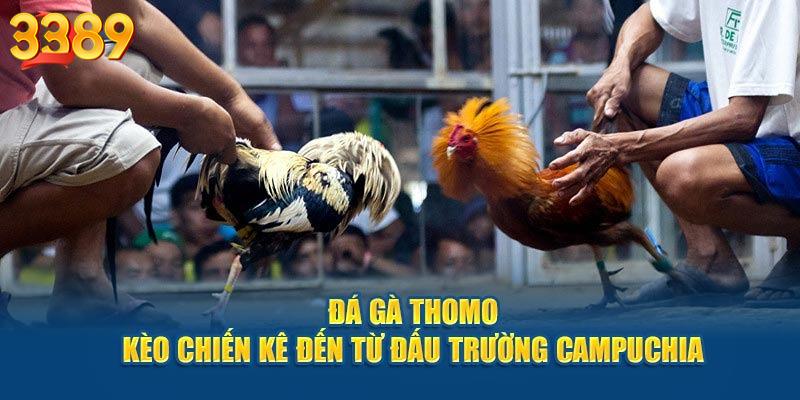 Thông tin tổng quan về đá gà Thomo